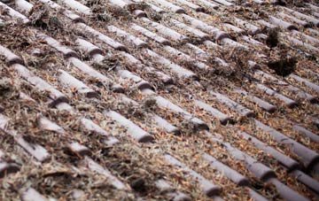 Stoke Lacy roof cleaning companies